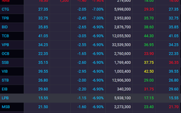 Ồ ạt bán tháo, cổ phiếu ngân hàng nằm sàn la liệt như TCB, VPB, VIB, CTG,…