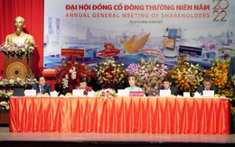 ĐHCĐ HDBank: Năm 2022 chia cổ tức bằng cổ phiếu tỷ lệ 25%, chính thức có HĐQT và BKS nhiệm kỳ mới, bà Lê Thị Băng Tâm tiếp tục làm cố vấn ngân hàng