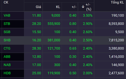 Cổ phiếu ngân hàng tiếp tục tăng, STB, SHB, CTG dẫn đầu ngành