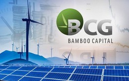Bamboo Capital lãi ròng quý I tăng gần 103%