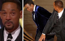 Cái kết ngậm ngùi cho Will Smith sau màn “đi đường quyền” tại Oscar, “tự hủy” sự nghiệp đến mức này liệu có đáng?