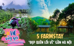 Tận hưởng cuộc sống "nuôi cá, trồng rau" tại 5 farmstay "đẹp quên lối về" gần Hà Nội: Trải nghiệm thư giãn dành cho những gia đình ngại đi xa