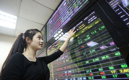 Agriseco Research gợi ý cơ hội đầu tư với loạt cổ phiếu có câu chuyện tăng trưởng quý 1, khả năng chống chịu tốt trước rủi ro của thị trường