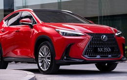 Ra mắt Lexus NX 2022 tại Việt Nam: Giá từ 3,01 tỷ đồng, đấu Mercedes GLC bằng phiên bản hybrid và F-Sport