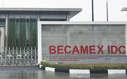 Becamex (BCM) lên kế hoạch lợi nhuận hợp nhất tăng gấp đôi, dự chia cổ tức tỷ lệ 8% bằng tiền
