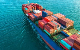 Vụ lừa đảo 100 container điều tại Italy: Những thông tin chưa từng công bố