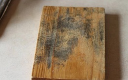 Sự thật chuyện đũa gỗ, thớt gỗ bị nấm mốc có chất gây ung thư kịch độc, ăn vào sẽ bị ung thư gan