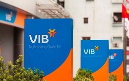 VIB chuẩn bị chia cổ phiếu thưởng tỷ lệ 35%