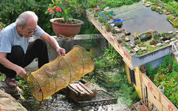 Cụ ông 87 tuổi "chịu chơi" mang cả cái ao đặt trên mái nhà rồi trồng rau nuôi cá: "Nhiều người nói tôi liều lĩnh"