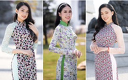 4 nữ sinh Đại học Ngoại thương tại Miss World Vietnam: Chiều cao 'khủng', nói tiếng Anh 'như gió'