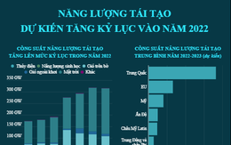 [INFOGRAPHIC] Năng lượng tái tạo dự kiến tăng kỷ lục vào năm 2022