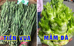 Việt Nam có 4 loại rau giá đắt hơn cả thịt cá, muốn ăn cũng chưa chắc đã có để mua