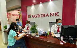 Agribank 'đại hạ giá' nợ của Nông trường Sông Hậu từ 350 tỷ xuống 98,5 tỷ đồng