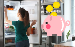 11 mẹo sử dụng tủ lạnh siêu tiết kiệm điện năng: Vào mùa cao điểm, áp dụng ngay để hóa đơn cuối tháng không tăng chóng mặt
