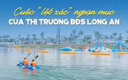 Cuộc “lột xác” thú vị của thị trường BĐS Long An: Đất nền giữ nhịp, nhà phố -  biệt thự, Villa “thổi làn gió mới”