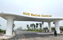 Hai doanh nghiệp "bán chui" dự án tại Mê Linh là ai?