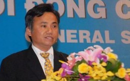 Em trai nữ Chủ tịch Đặng Thị Hoàng Yến quay trở lại làm CEO Tân Tạo (ITA)