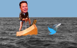 Quốc hội Anh yêu cầu tỉ phú Musk “giải trình” về Twitter