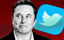 Lượng người quan tâm đến công việc tại Twitter tăng hơn 250% vì Elon Musk, người đang làm thì lại lo lắng