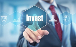 Đầu tư I.P.A trình kế hoạch lợi nhuận 2022 giảm gần 50%