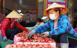 Trái vải Việt Nam xây dựng thương hiệu trên bản đồ nông sản thế giới