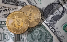 USD cao nhất 20 năm, Bitcoin rơi tiếp về gần 20.000 USD