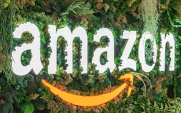 Amazon - đại gia bất động sản 'ngầm': Âm thầm xây dựng, 'gom' hàng loạt mảnh đất đắc địa ở khắp nước Mỹ