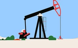 Sau một loạt các báo cáo tháng quan trọng, giá dầu đã bắt đầu bị kìm hãm?