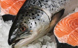 Những sai lầm khi ăn cá hồi khiến món ngon trở thành 'phế phẩm', mất sạch dinh dưỡng
