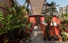 Biến hóa một phần mái nhà thành khu vườn xanh mát