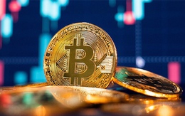 Bitcoin giảm mạnh, có nên cắt lỗ?