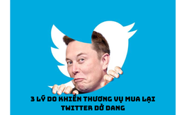 Còn điều gì đang cản bước Elon Musk hoàn tất thương vụ mua lại Twitter?