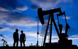 Giá dầu có hạ nhiệt trước nguy cơ suy thoái kinh tế?