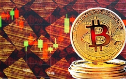Bitcoin giúp dự báo đáy chứng khoán?