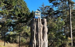 Bí ẩn ngôi nhà nhỏ bên trong công viên San Francisco
