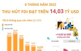 [INFOGRAPHIC] 6 tháng năm 2022: Thu hút FDI đạt trên 14,03 tỷ USD