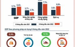 Bức tranh kinh tế 6 tháng đầu năm
