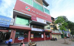 Agribank sắp bán nợ thế chấp bằng 9 lô đất rộng gần 2 ha tại TP Thủ Đức