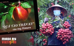 Từ câu chuyện "quả táo thần kỳ" của Nhật Bản, thấy tiềm năng to lớn của Việt Nam