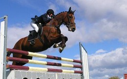 Biến động trên thị trường mở ra cơ hội đầu tư các nhóm ngành ít chịu ảnh hưởng bởi lạm phát