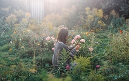 Khu vườn bình yên bên hoa lá rộng 25.000m² và ngôi nhà bình dị của cô gái độc thân ở vùng nông thôn