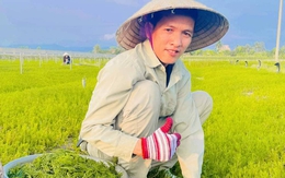 Hành trình thuần hóa rau dại trên vùng đất nhiễm mặn thành đặc sản của anh nông dân 8X xứ Nghệ