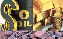 Thị trường ngày 8/6: Giá dầu và vàng tăng, sắt thép, cao su, cà phê thoái lui
