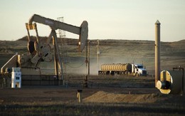 OPEC+ tăng sản lượng dầu mỏ, vì sao giá dầu vẫn chưa hạ nhiệt?