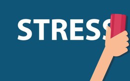 Nghề Ngân hàng: Lương cao, stress cũng cao, thậm chí VPBank còn tiên phong tuyển chuyên gia lo giải quyết vấn nạn stress cho nhân sự!