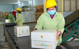 Lộc Trời lần đầu xuất 500 tấn gạo có thương hiệu riêng "Cơm ViệtNam Rice" sang châu Âu