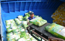 VDSC: Sản lượng gạo xuất khẩu của Việt Nam sẽ còn tăng đến cuối năm 2022, đặc biệt với DN xuất được sang châu Âu như Lộc Trời, Trung An