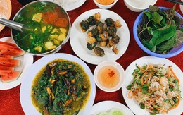 Món hải sản quý có ở rất nhiều vùng biển Việt Nam nhưng không phải ai cũng từng ăn thử