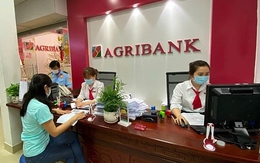 Agribank thu hồi và bán đấu giá nhiều lô đất TP HCM xử lý nợ