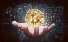 Chu kỳ tăng giá của Bitcoin khi nào trở lại?
